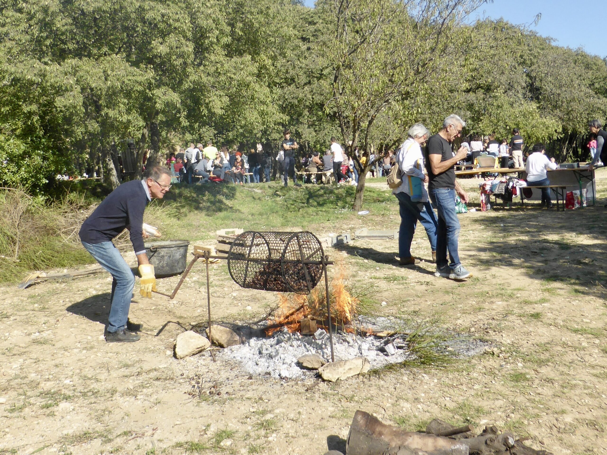 Le Orchis géant, Orchis à longues bractées, Barlie Himantoglosse de Robert , Le Orchis géant, Orchis à longues bractées, Barlie Himantoglossum robertianum (Loisel.) P.Delforge, 1999 Classe : Equisetopsida Ordre : Asparagales Famille : Orchidaceae Sous-Famille : Orchidoideae Tribu : Orchideae Genre : Himantoglossum Vallon de Sernhac