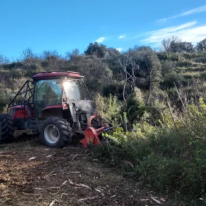Débroussaillage dans le bas du Vallon de Sernhac