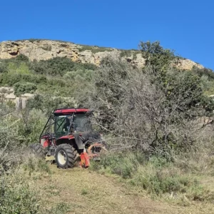 Débroussaillage dans le bas du Vallon de Sernhac