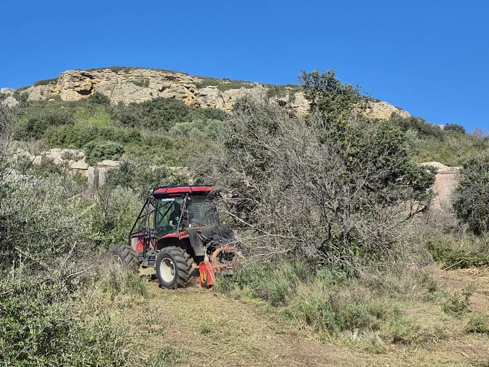 Débroussaillage dans le bas du Vallon de Sernhac