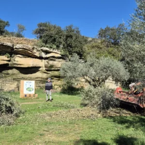 Débroussaillage dans le bas du Vallon de Sernhac