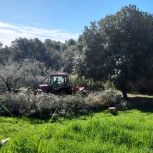 Débroussaillage dans le bas du Vallon de Sernhac