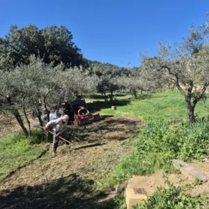 Débroussaillage dans le bas du Vallon de Sernhac