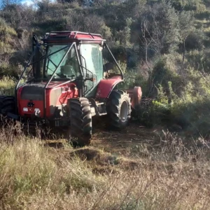 Débroussaillage dans le bas du Vallon de Sernhac