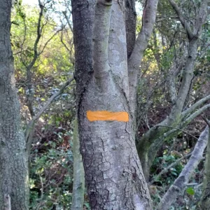 balisage « Au fil des hommes »