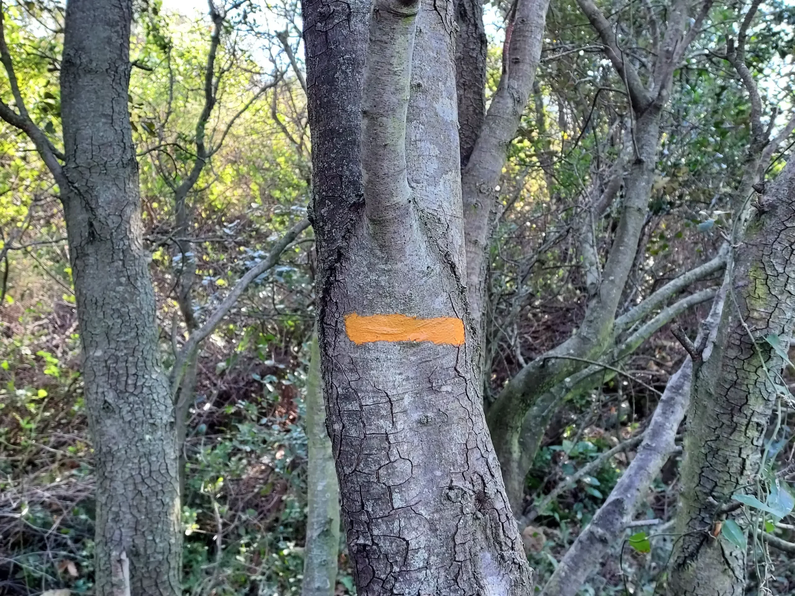 balisage « Au fil des hommes »