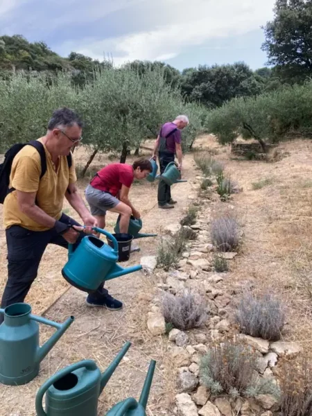 202608 arrosage vallon #5